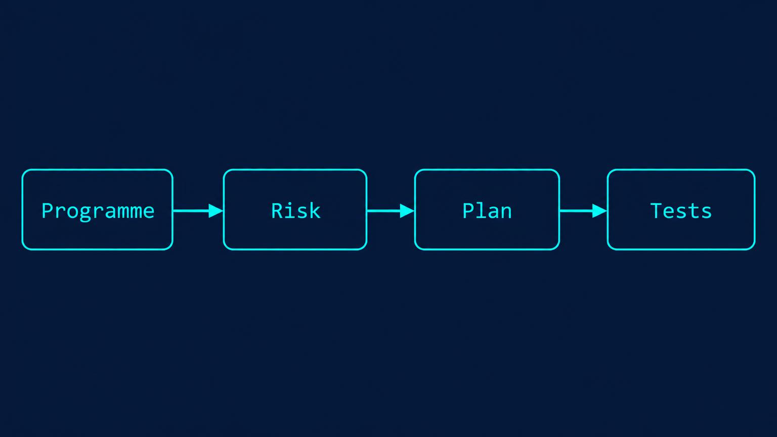 Programme, risk priorities and an individual audit plan connect to evidence work.