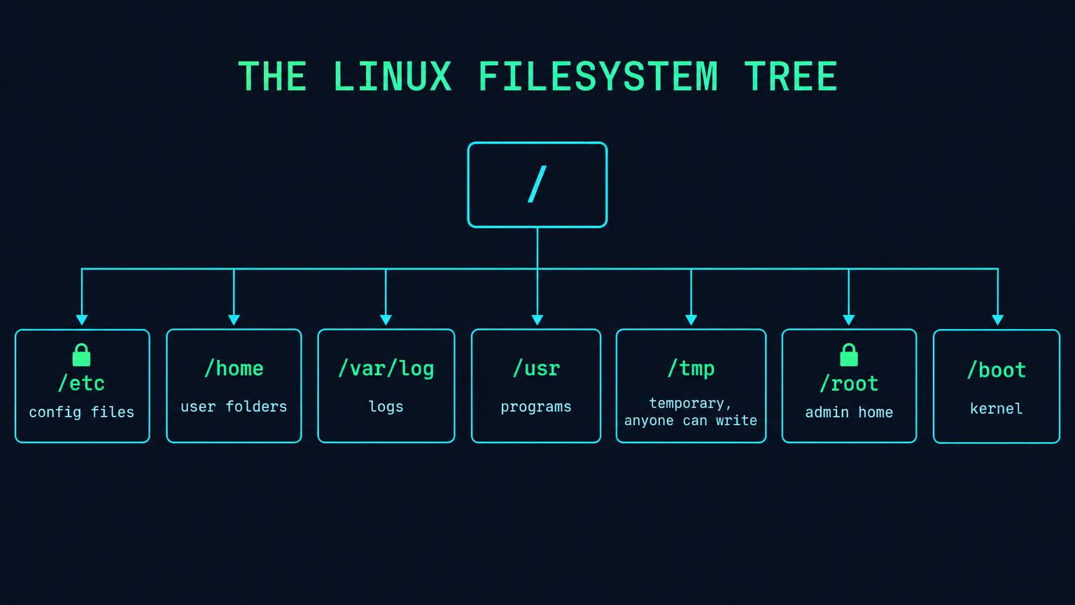 Tree diagram starting at slash, branching to /etc config files, /home user folders, /var/log logs, /usr programs, /tmp temporary anyone can write, /root admin home and /boot kernel. Padlocks on /etc and /root.
